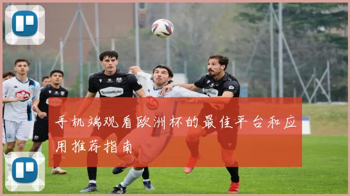 手机端观看欧洲杯的最佳平台和应用推荐指南