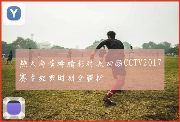 热火与黄蜂精彩对决回顾CCTV2017赛季经典时刻全解析