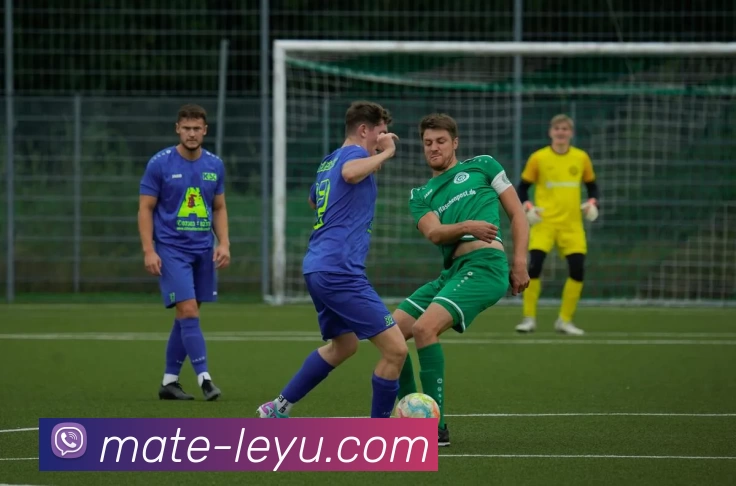 App Interface Preview